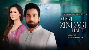 Meri Zindagi Hai Tu Drama